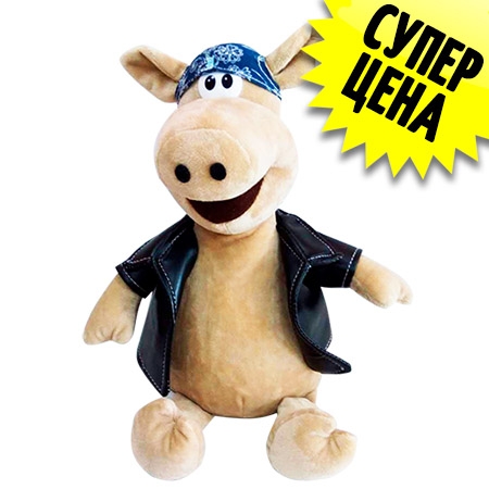 Свин Гордей